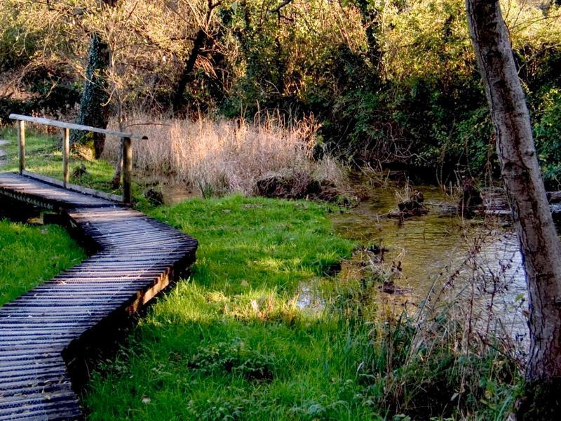 Nifty Intera Villa Con Piscina Relax, Idromassaggio E Sauna Muscletto Buitenkant foto